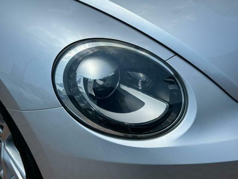 THE BEETLE