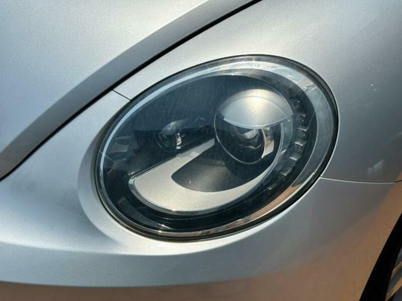 THE BEETLE