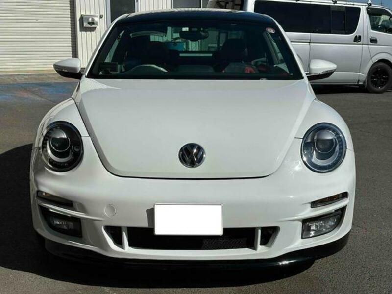 THE BEETLE