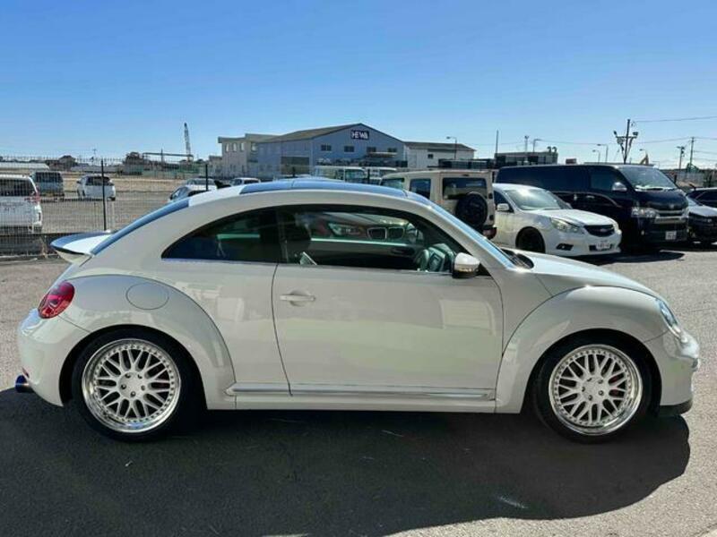 THE BEETLE