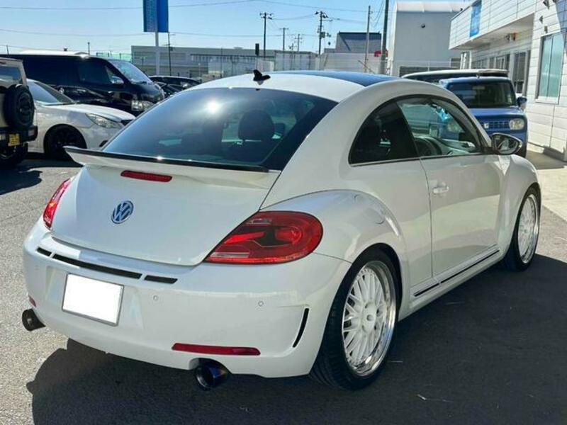 THE BEETLE