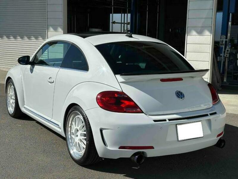 THE BEETLE