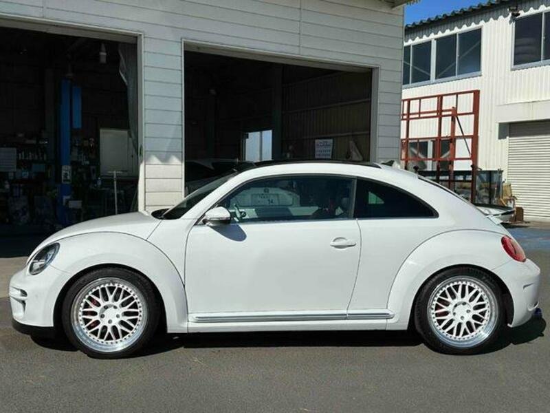 THE BEETLE