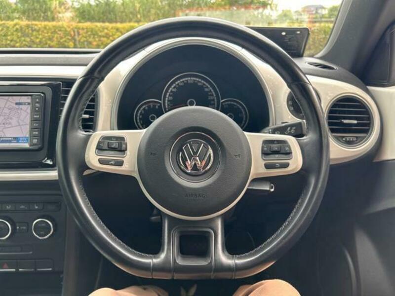 THE BEETLE