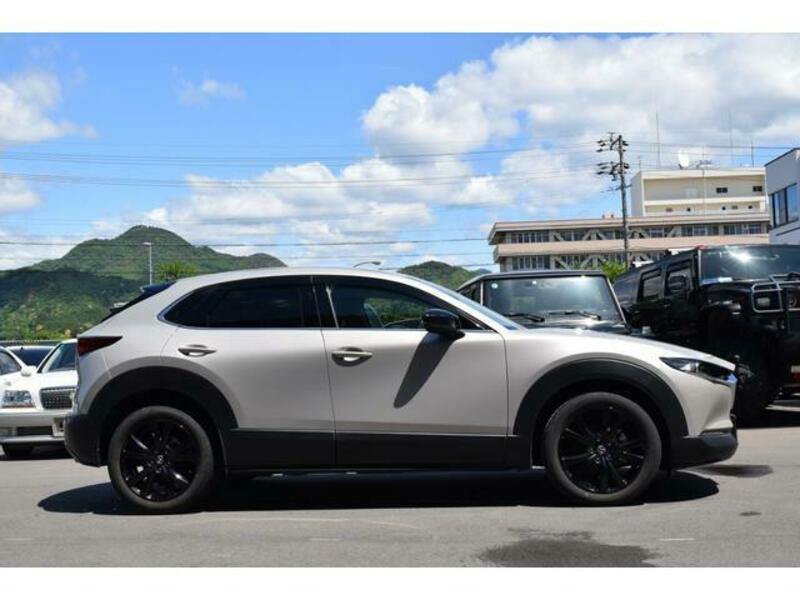 CX-30