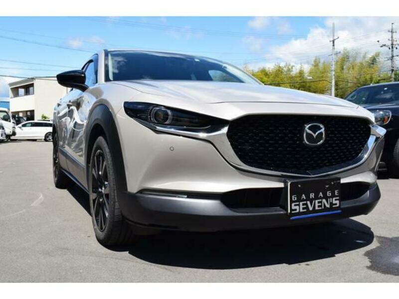 CX-30