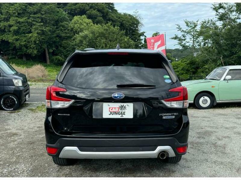 FORESTER