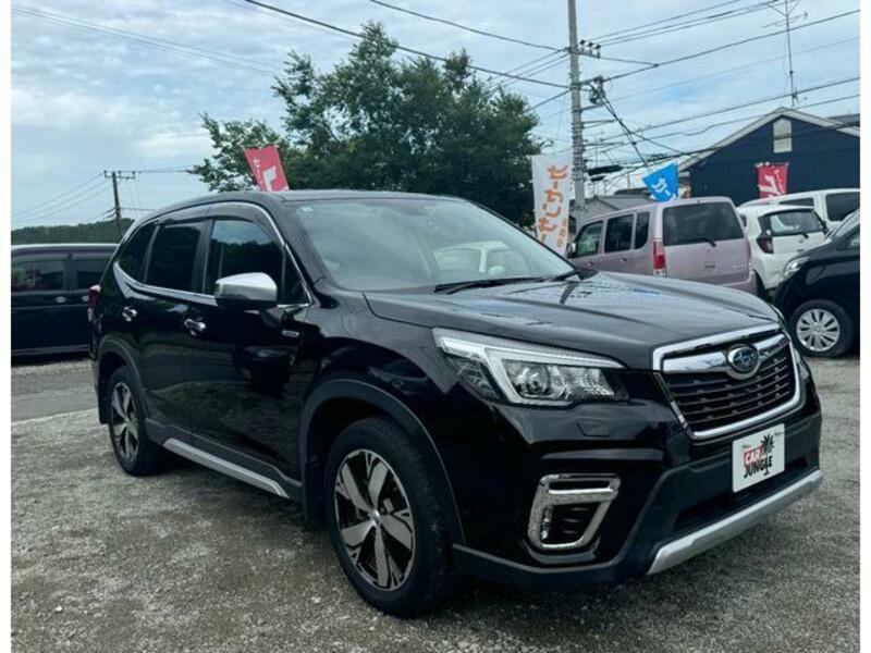 FORESTER