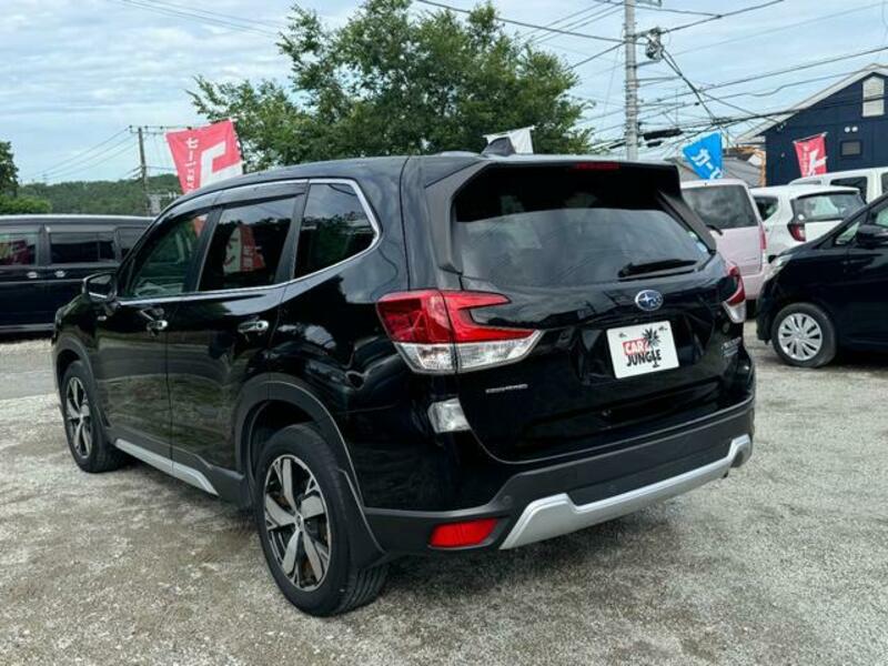 FORESTER