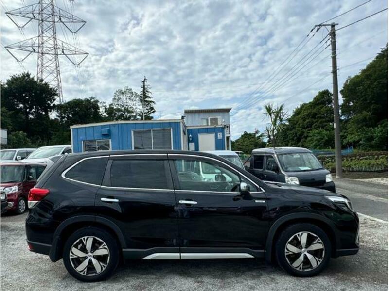 FORESTER