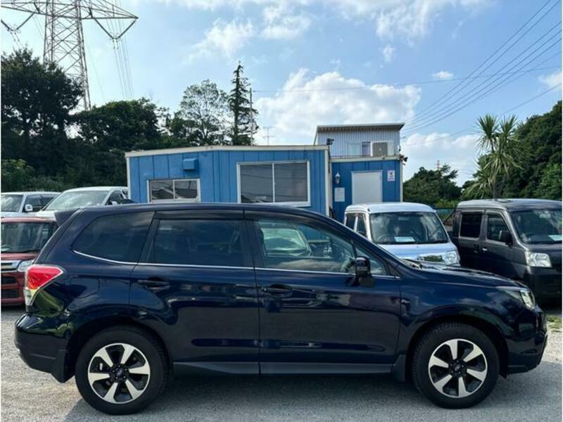 FORESTER