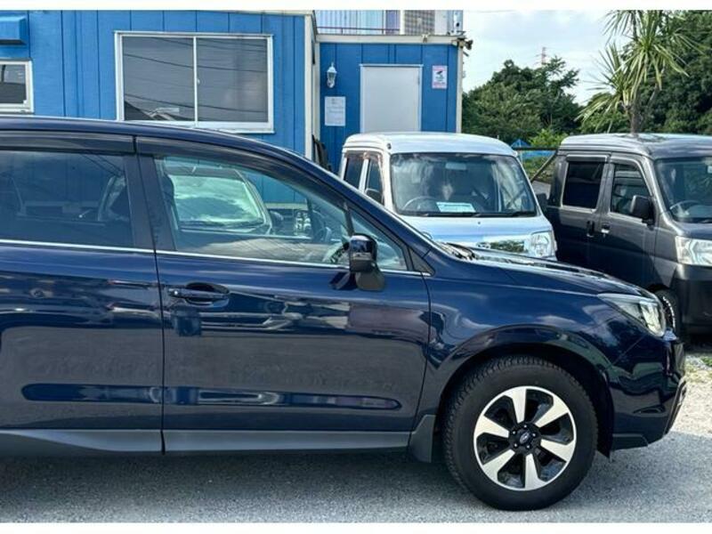 FORESTER