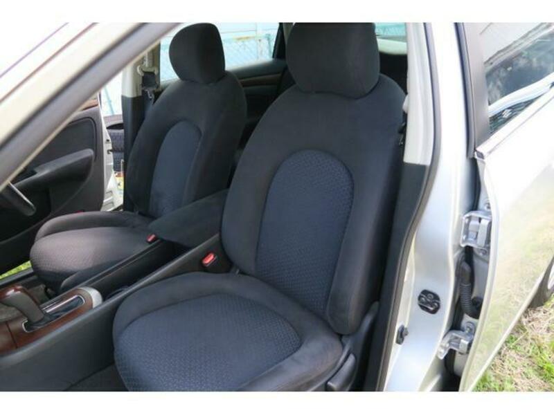 BLUEBIRD SYLPHY