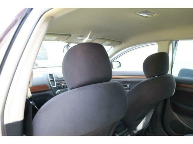 BLUEBIRD SYLPHY