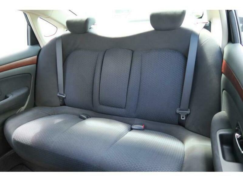 BLUEBIRD SYLPHY