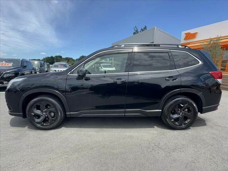 FORESTER