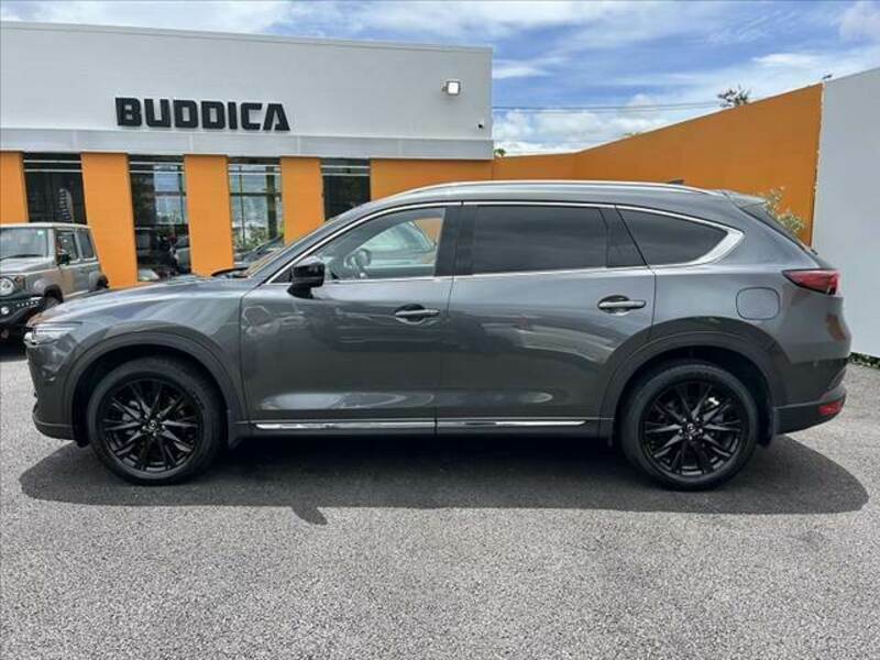 CX-8