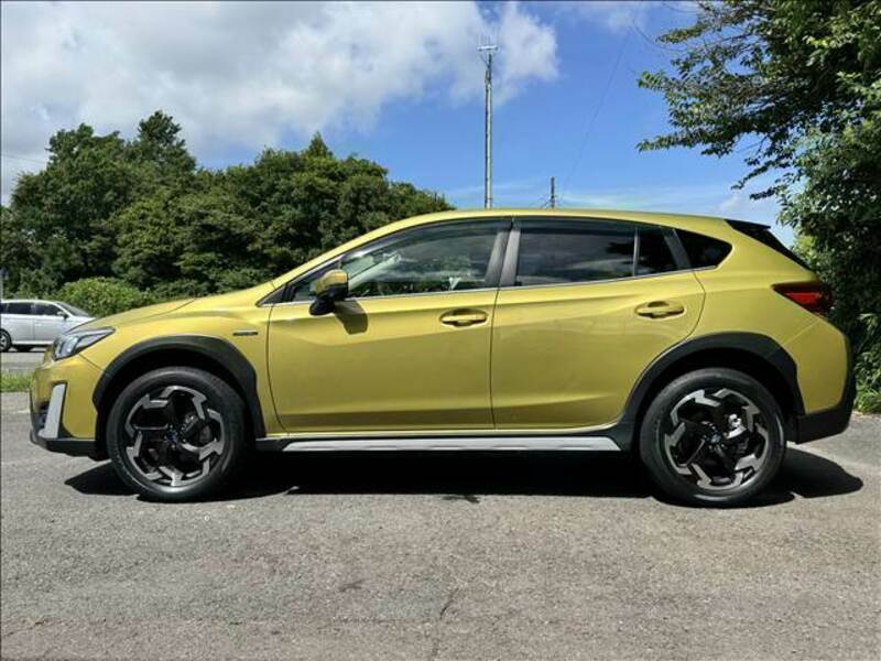 XV
