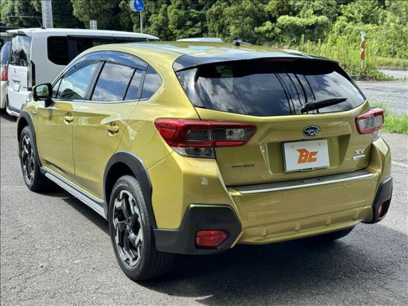 XV
