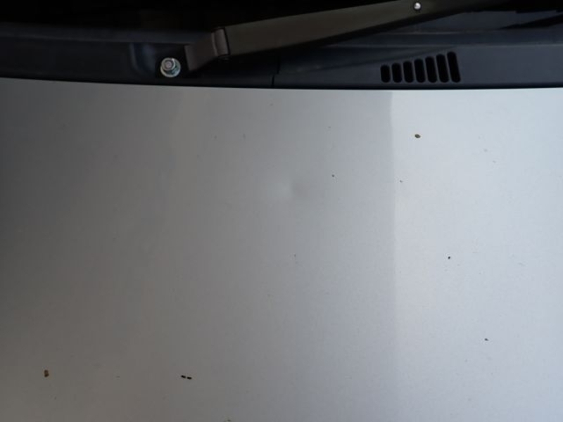 PROBOX VAN