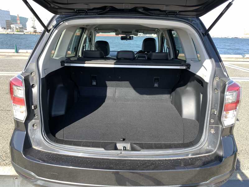 FORESTER