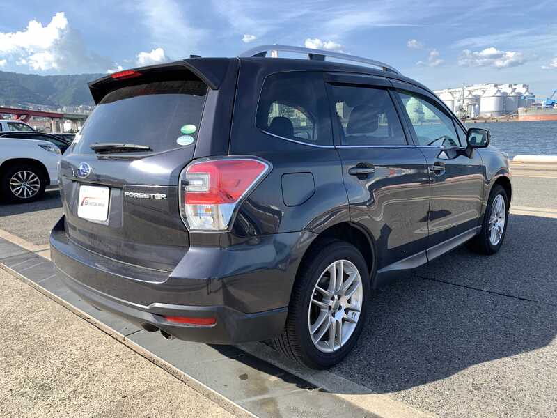 FORESTER