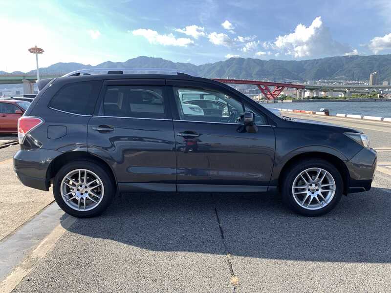 FORESTER