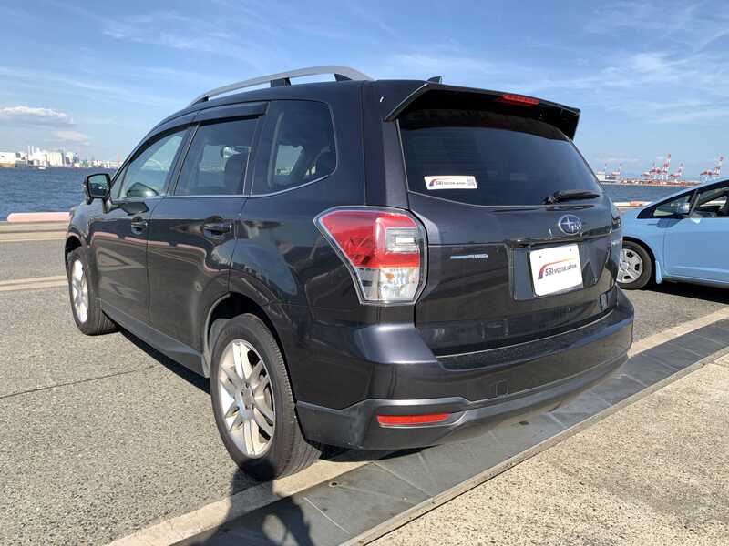 FORESTER