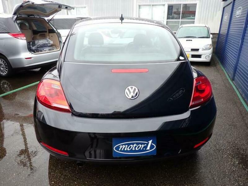 THE BEETLE