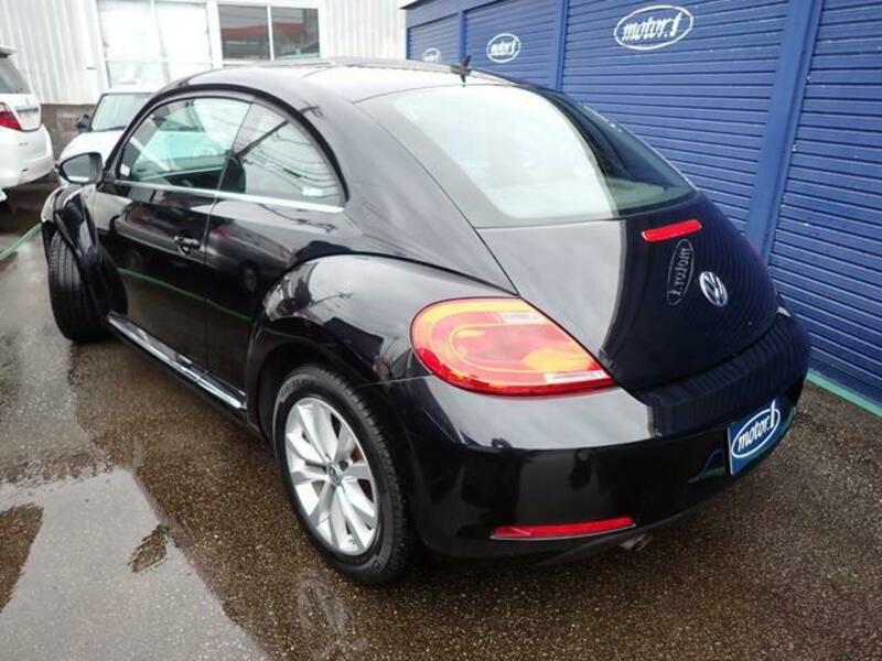 THE BEETLE