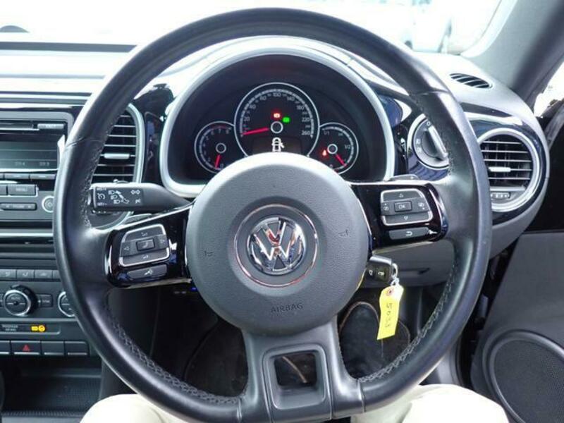 THE BEETLE