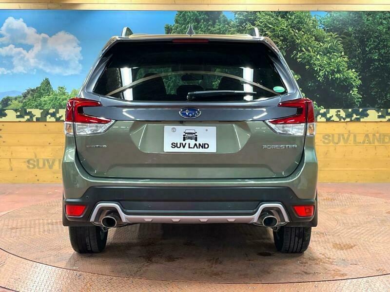 FORESTER