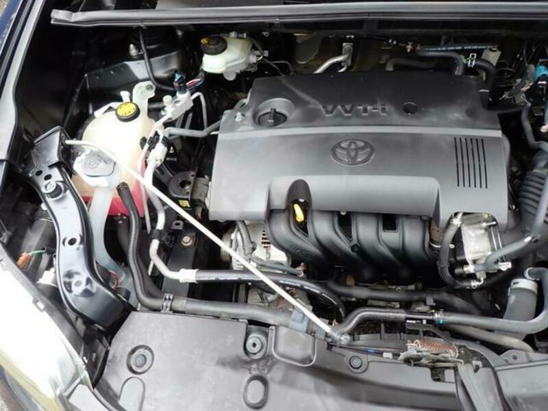 COROLLA RUMION