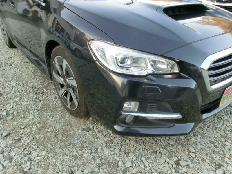LEVORG