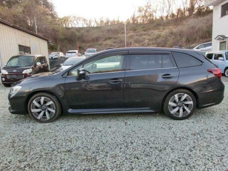 LEVORG