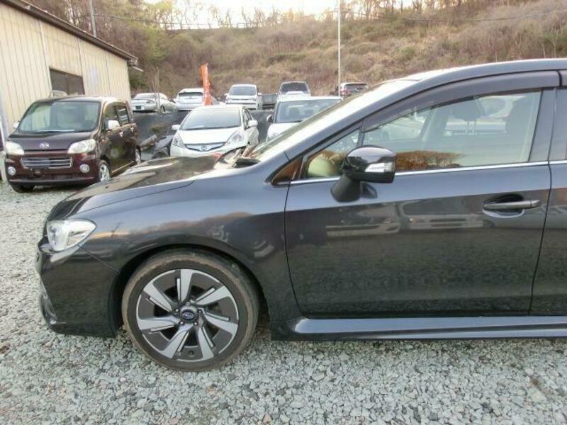 LEVORG