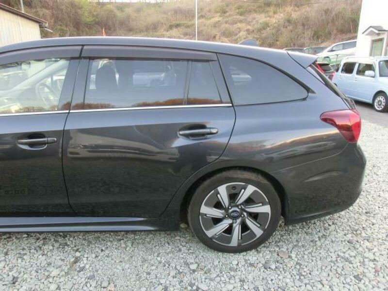 LEVORG