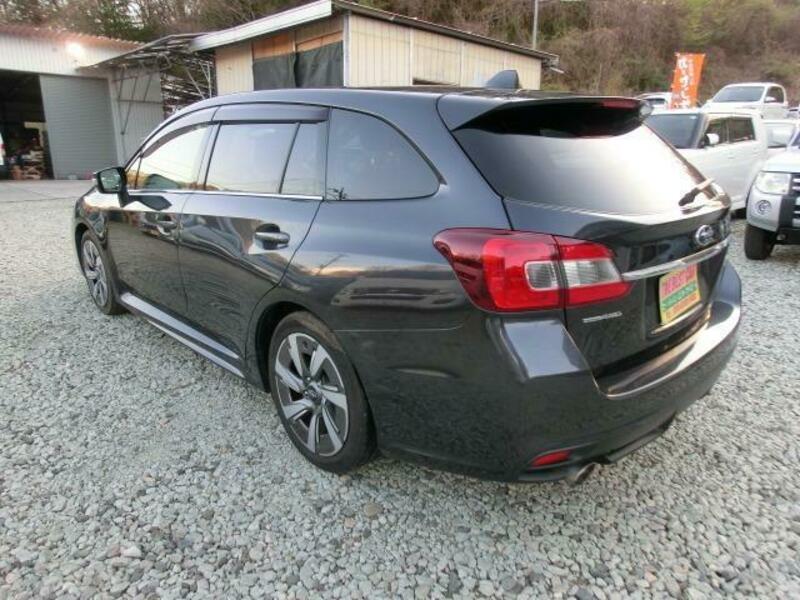 LEVORG