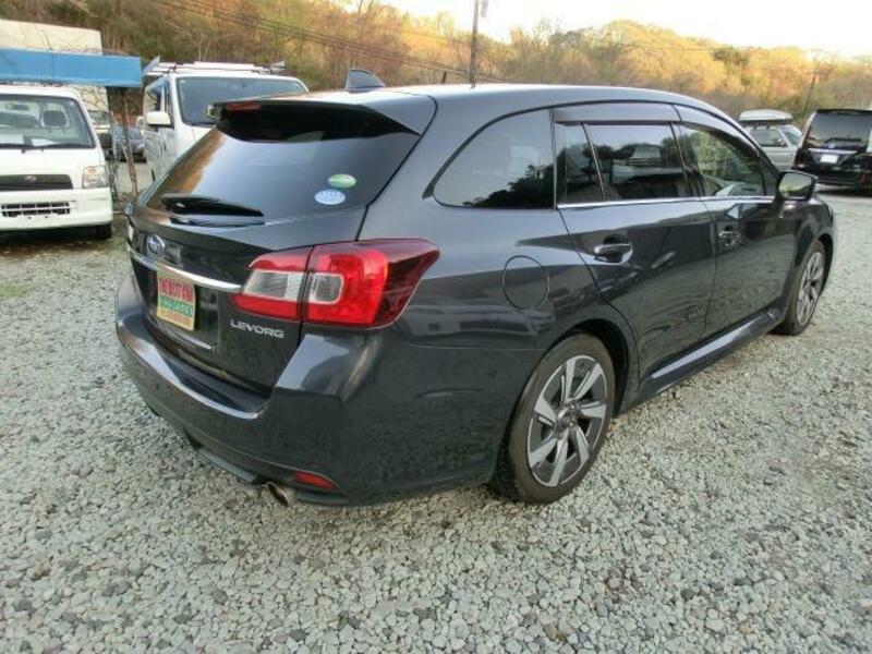 LEVORG