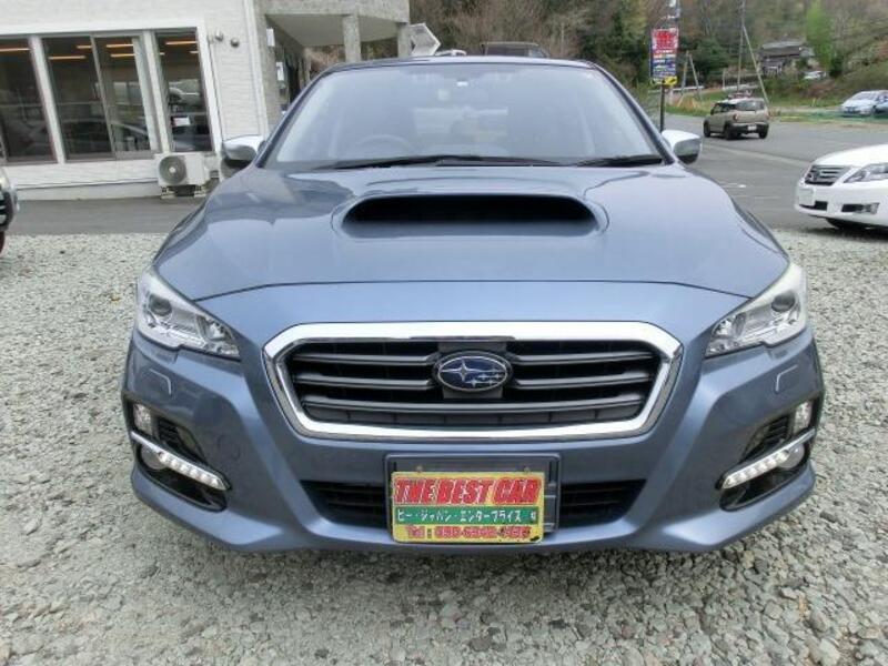 LEVORG
