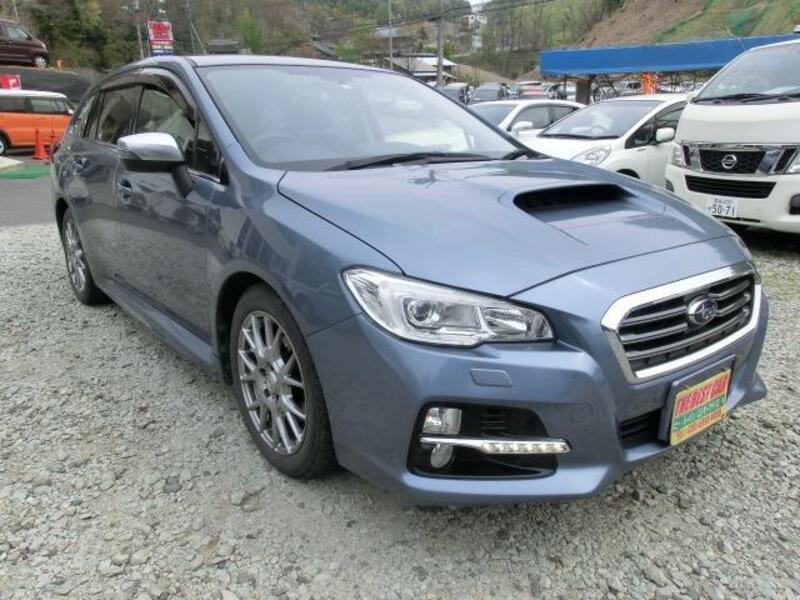 LEVORG