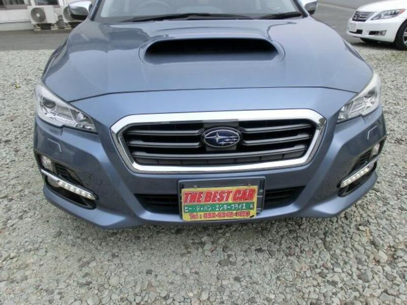 LEVORG