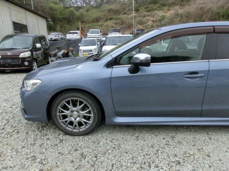 LEVORG