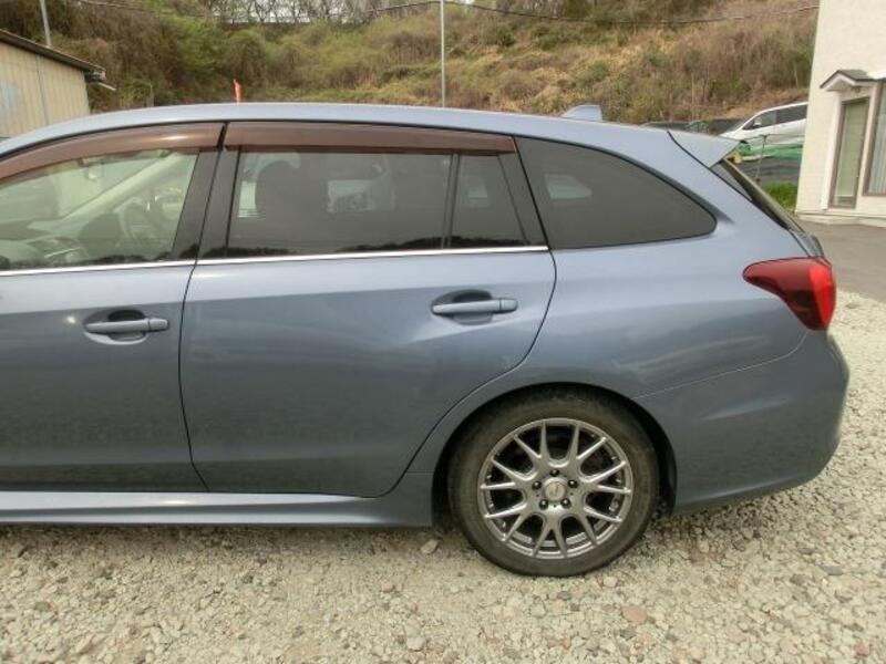 LEVORG