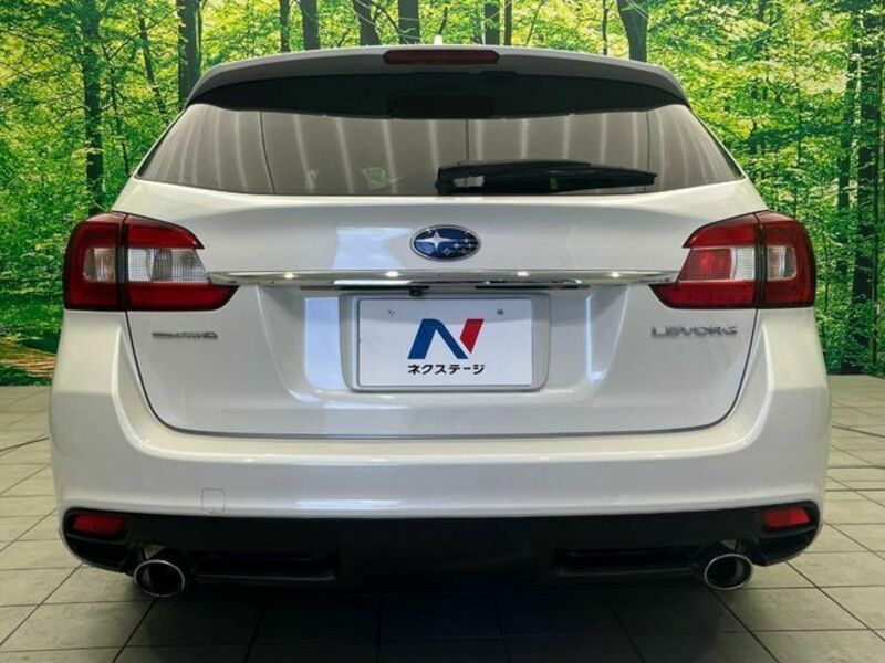 LEVORG
