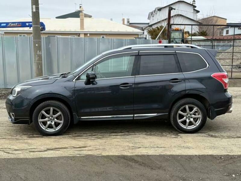 FORESTER