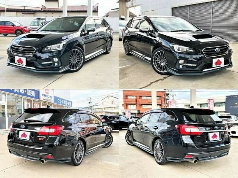 LEVORG