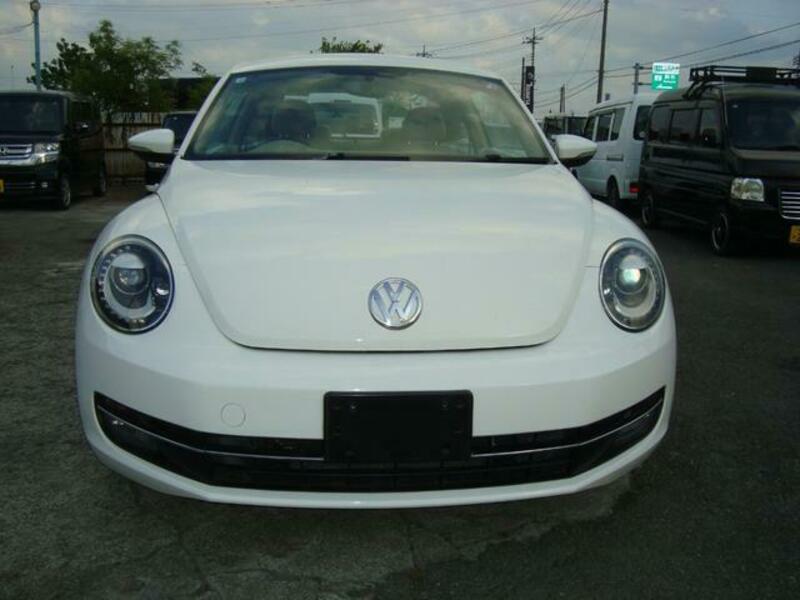 THE BEETLE