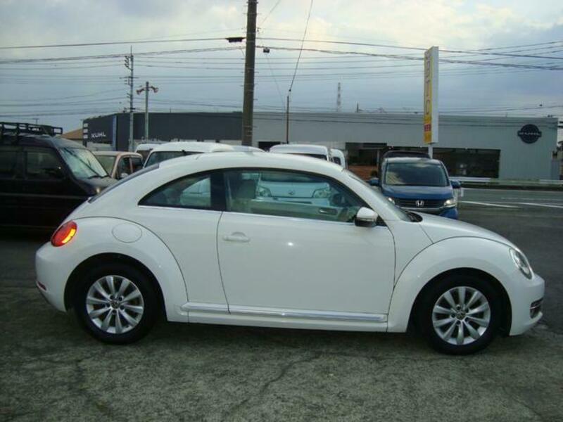 THE BEETLE
