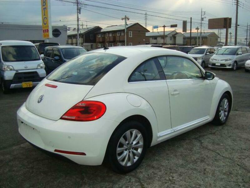 THE BEETLE